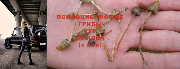 кокс Алексин