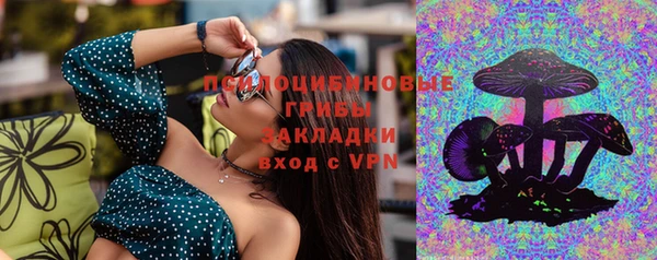 apvp Абаза