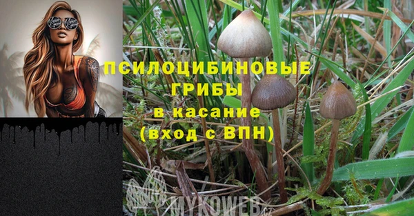амф Горняк