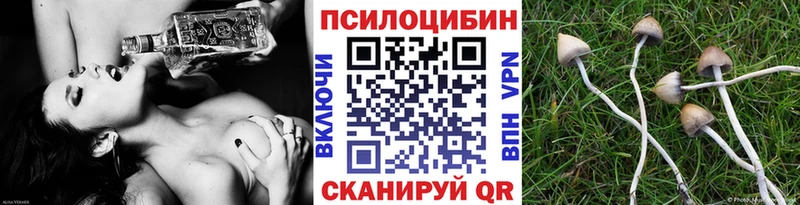 Галлюциногенные грибы мицелий  Талица 